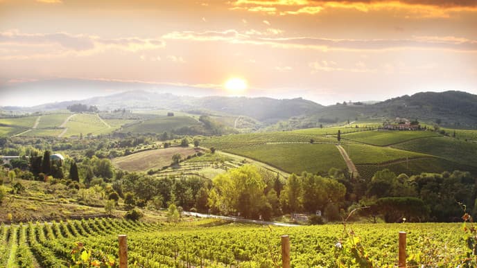 Chianti's wine route