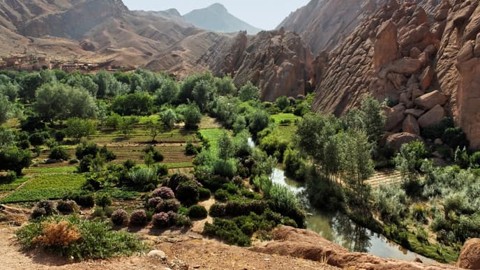 Explore rugged gorges & Berber traditions