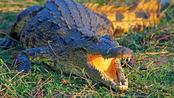 Abwechslungsreiche Fahrt nach Windhoek