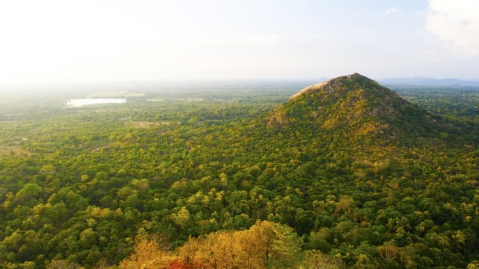 Sigiriya und optionale Aktivitäten