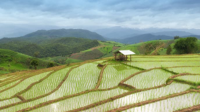Zu Fuß durch den Doi-Inthanon-Nationalpark