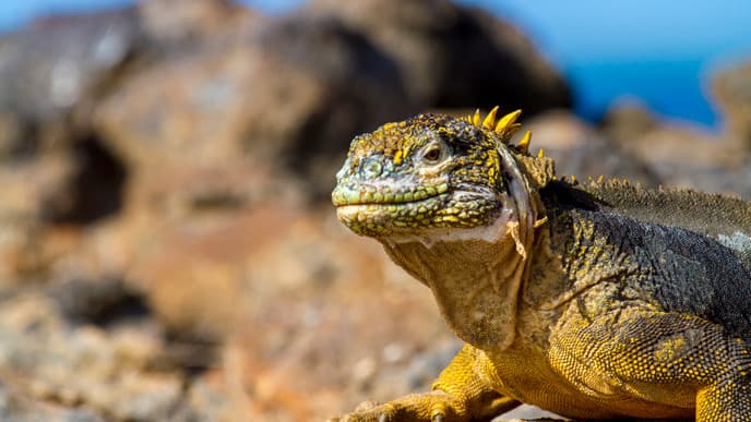 Besuch einer unbewohnten Insel