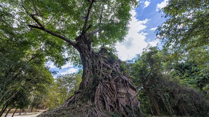 Sambor Prei Kok temples and on to Siem Reap