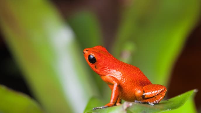 A day of dolphin-spotting