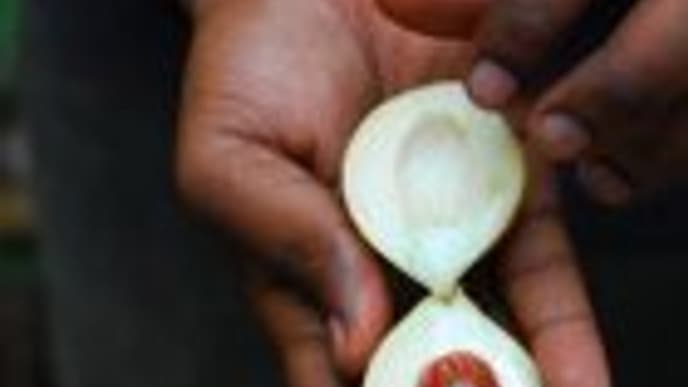 Wo der Pfeffer wächst