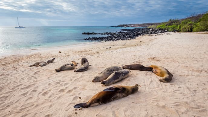 Journey to the Galapagos