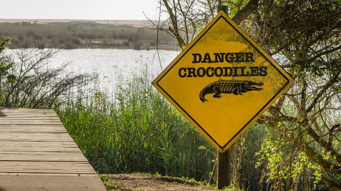 Jeep-Safari zum Schnorchelspot