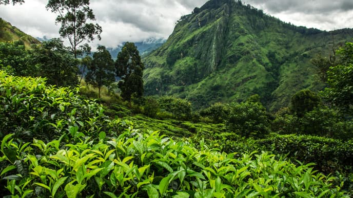 Der spektakulärste Wasserfall Sri Lankas