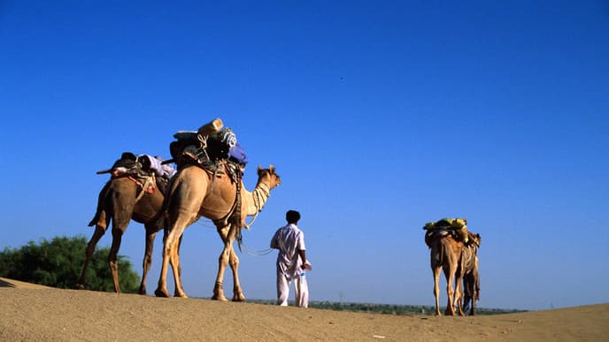 Kamelritt durch die Wüste