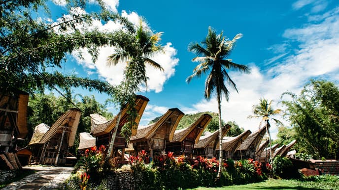 Die einzigartige Architektur und Lebensweise der Toraja