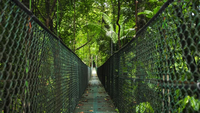 Delight your senses in Sarapiqui