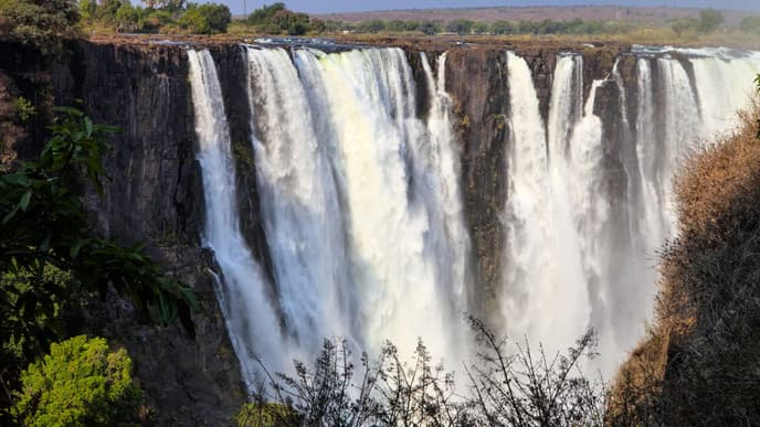 Farewell, Africa!