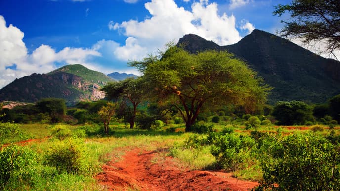 Visit The Stunning Mzima Springs