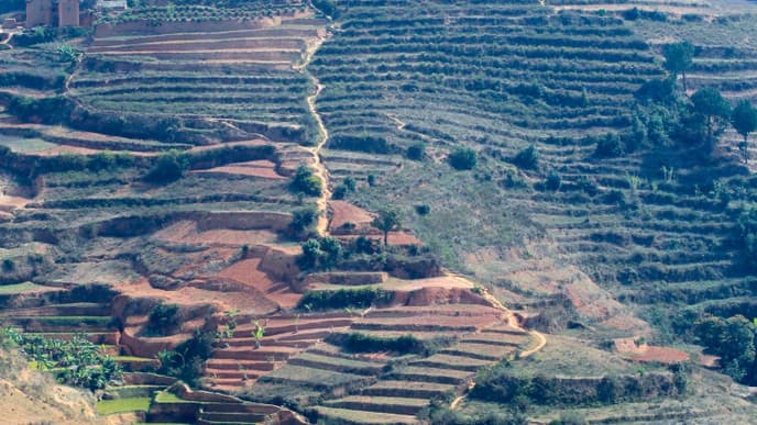 Entdeckungen auf dem Weg nach Antsirabe