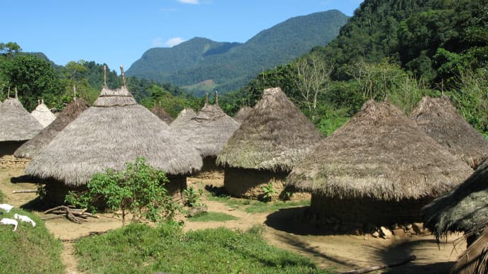 First steps with the Kogi