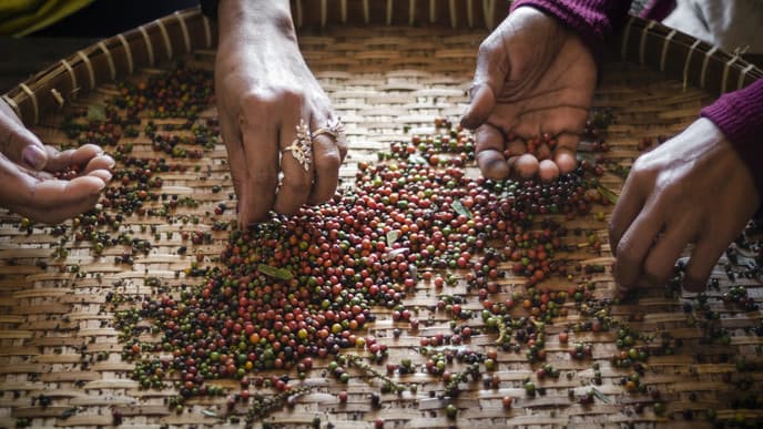 Cook up local cuisine at La Plantation