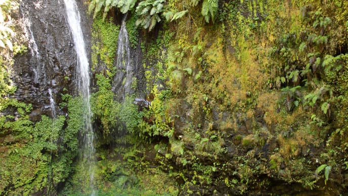 Wanderung durch den allerersten Nationalpark der Insel