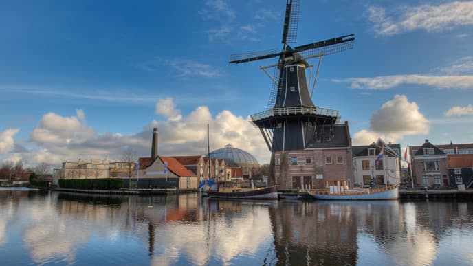 Take a trip to Haarlem