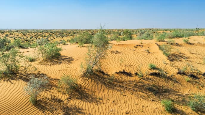 Soak in the Views of Kizil-Kum