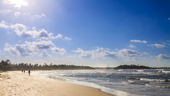 Relax on the shoreline