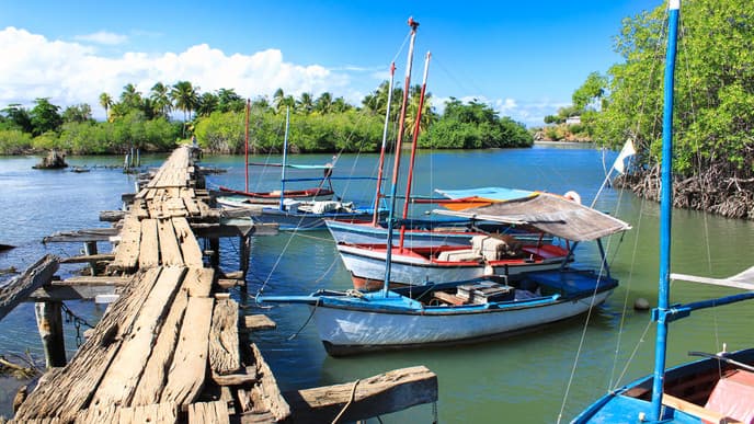 Natur pur in Baracoa erleben