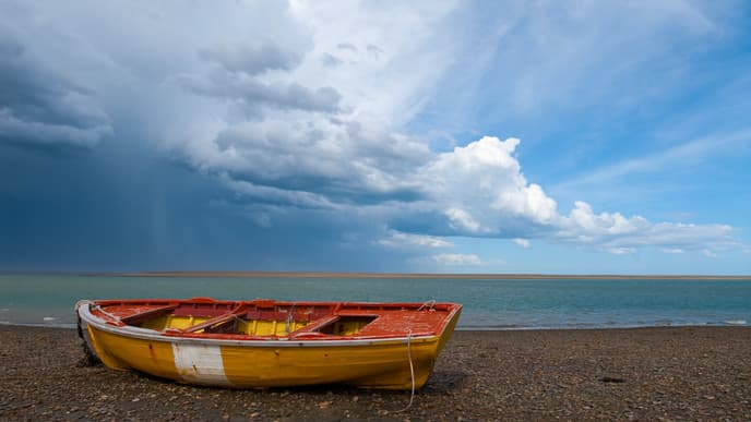 From Nature to City Life in Buenos Aires