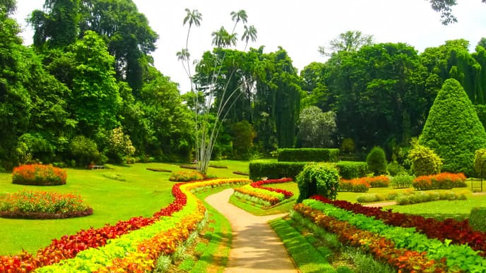 Orchideengarten in Kandy