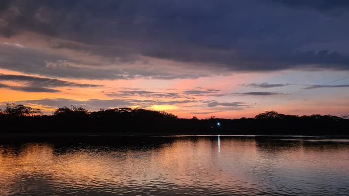 Into the wild in San Jose