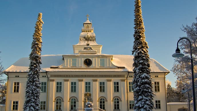 Enjoy a Fun Day at Mustasaari Island
