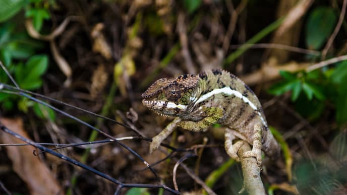 Optionale Aktivitäten ganz nach Ihrem Wunsch