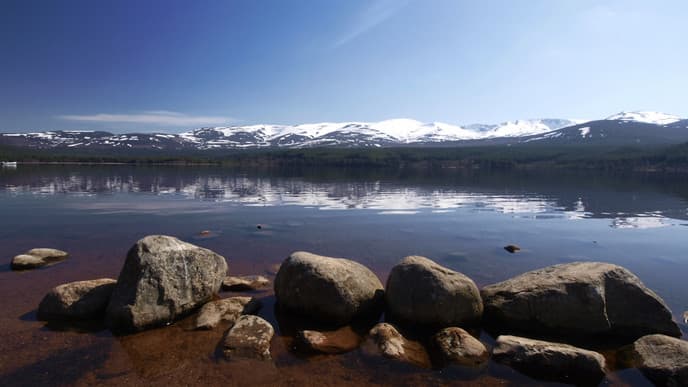 A safari adventure in the heart of nature