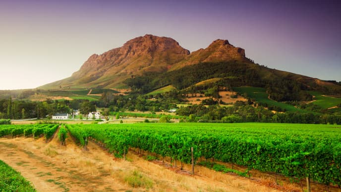 Robben Island oder Township Tour