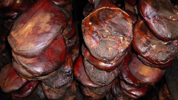 Taste the Flavors of Montenegro