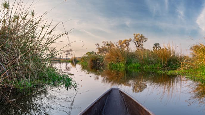 Tour the mesmerizing Okavango Delta