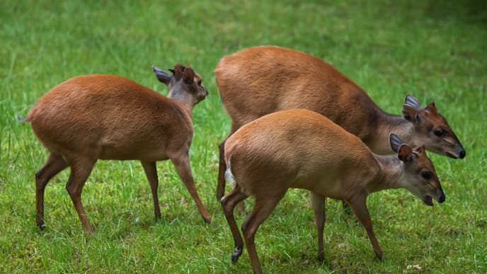 Hiking & exploring highlands