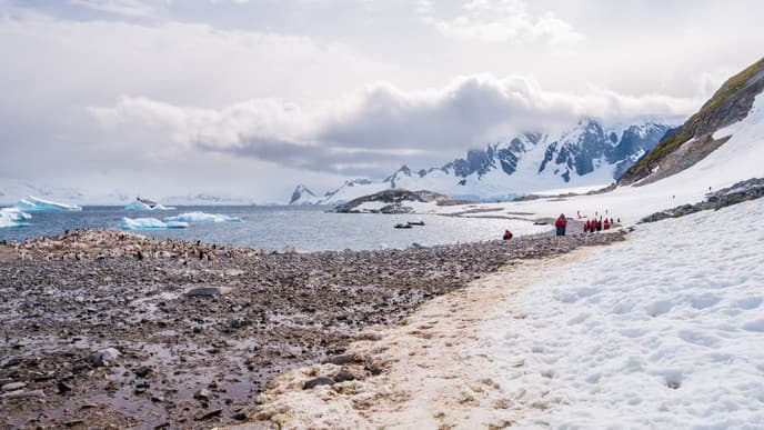 Cruise to the Errera Channel