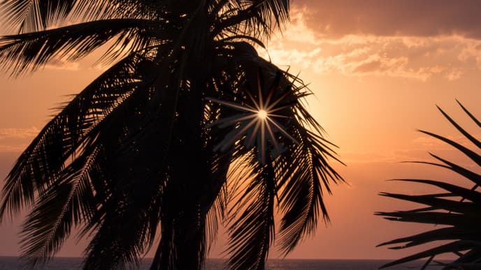 Beach Fun, Local Villages, and Forests