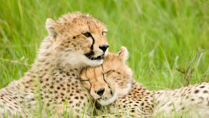 Continue Your Discovery of this Magnificent Preserve