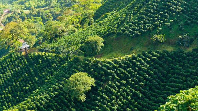 Perfekte Kombination: Kaffee & Schokolade