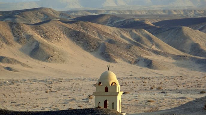A bounty of Marsa Alam experiences