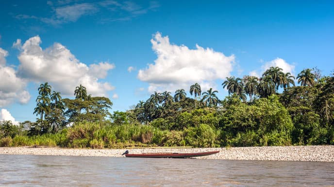 Jungle waterfalls & wildlife sightings