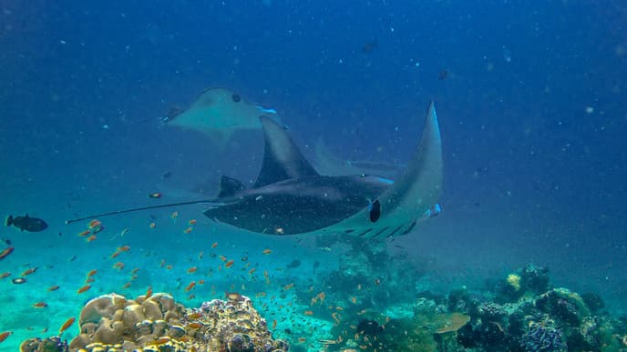 Yoga, snorkelling & sundowners
