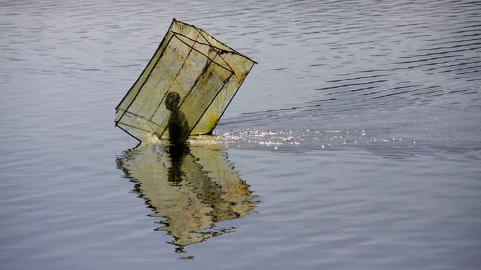 See The Sacred Gallery Forest