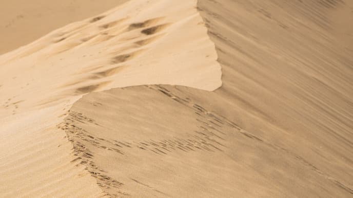 The Red Sands of the Kizil Kum Desert