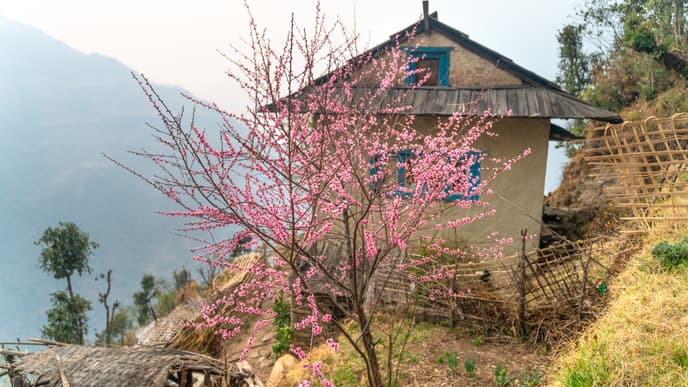 Fahrt nach Jantardhap