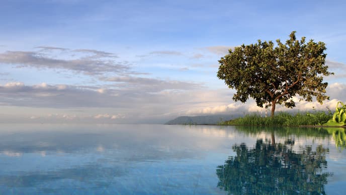 Vogelparadies Lake Manyara
