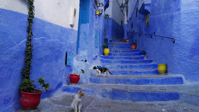 Return to Casablanca