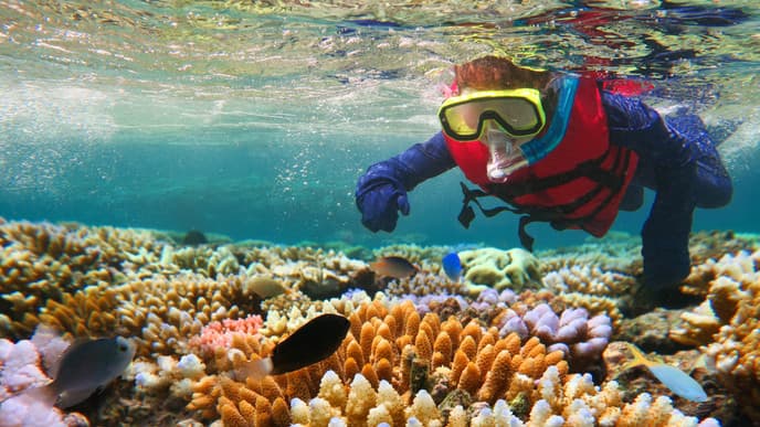 Sensational snorkelling