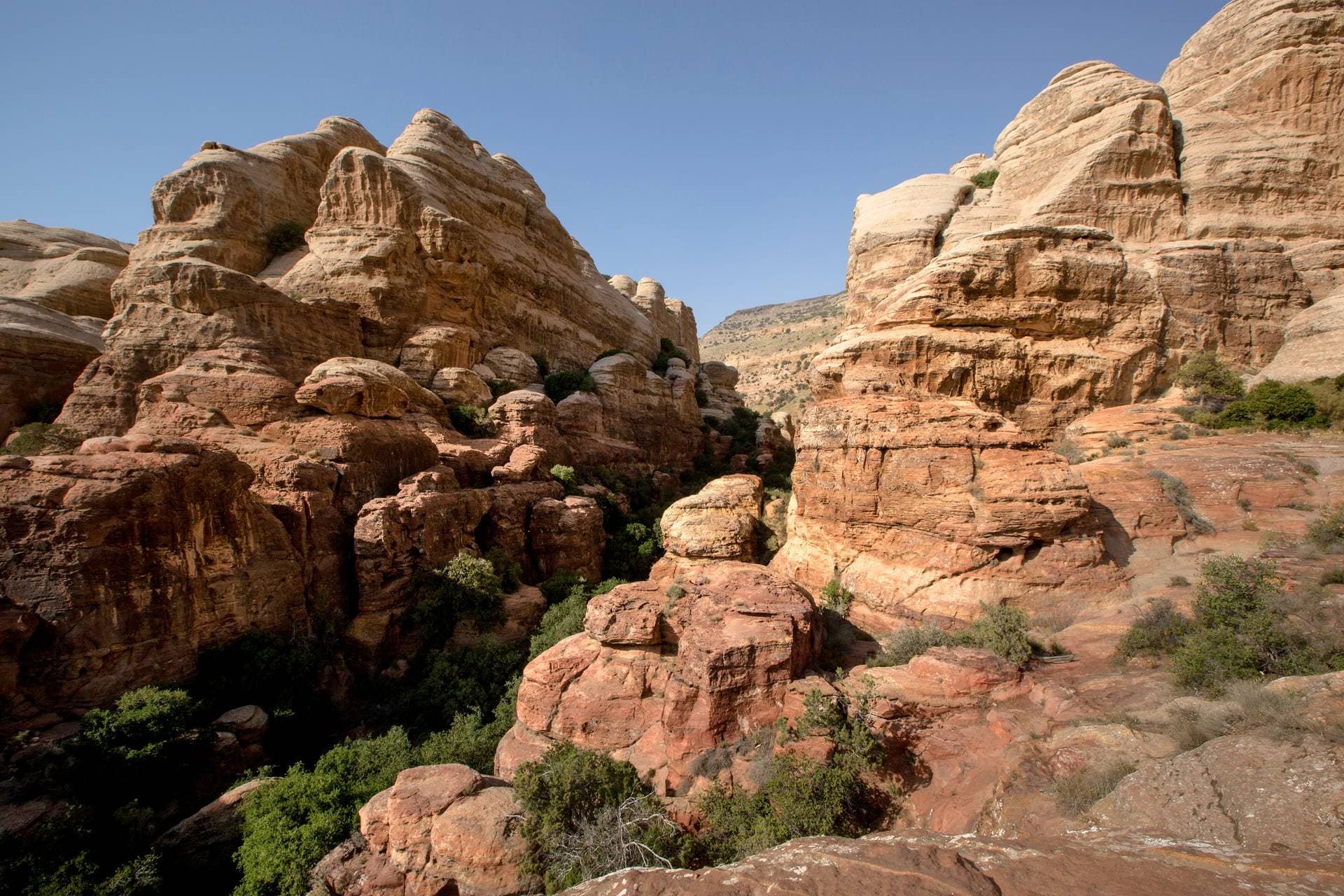 Dana Nature Reserve - Petra