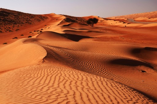 Wahiba Sands